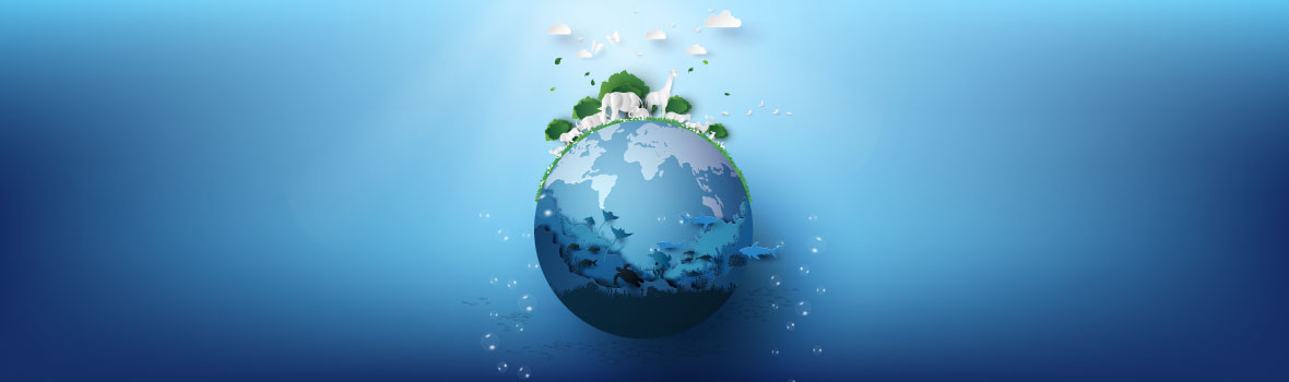 EBTC Internationalisation Programme